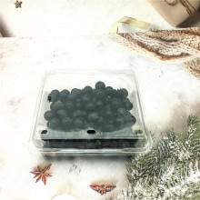 Disposable plastic fruit container packaging box